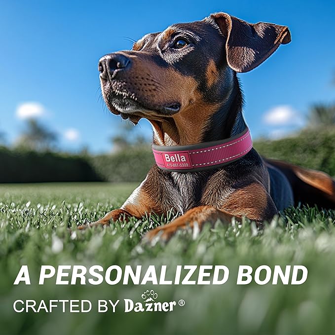 Personalized Dog Collar with Name & Phone Number | Reflective Ultra Wide Soft Neoprene Padded | Durable Metal Buckle for Large, Medium, and Small Dogs in Pink, Purple, Blue & Other Stylish Colors
