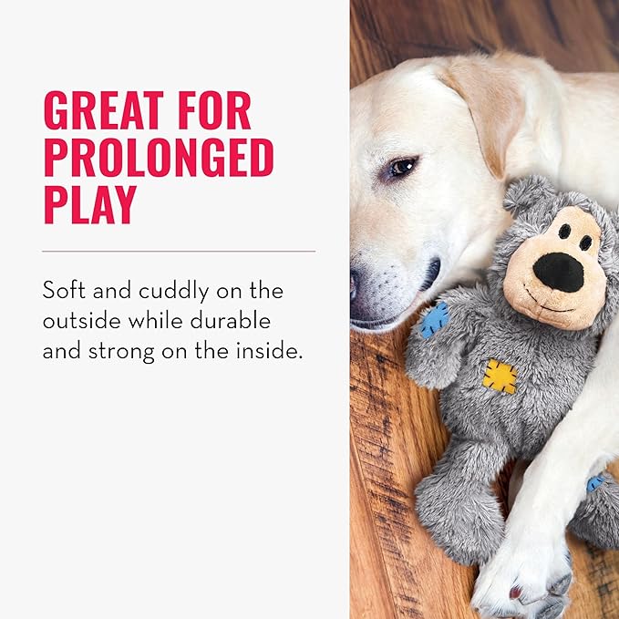 KONG - Wild Knots Bear - Internal Knotted Ropes and Minimal Stuffing for Less Mess (Assorted Colors) - For X-Small Dogs