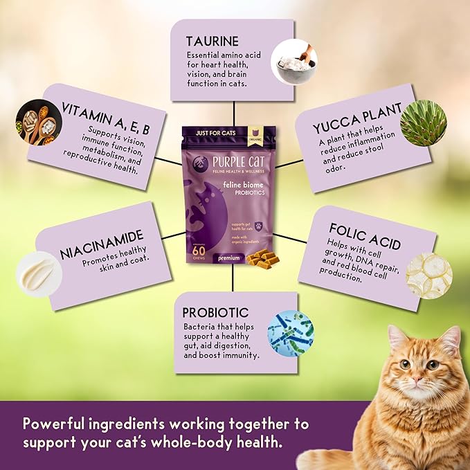 Feline Biome: Premium Cat Probiotic – Gut Health, Diarrhea Relief & Immune Support – Natural & Organic Ingredients – 60 Soft Chews with Real Chicken and Chicken Liver