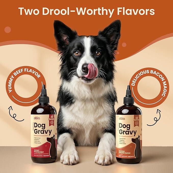 Everyday Dog Gravy - Premium Wet Dog Food Gravy Toppers for Dry Food – Tasty & Nutritious with Essential Vitamins and Supplements – Hip and Joint Supplement (Bacon)