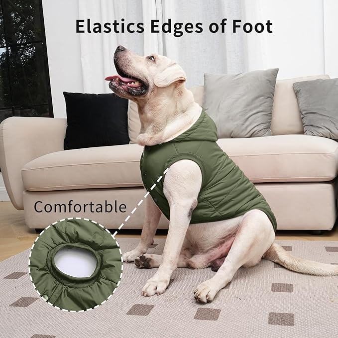 Fleece Lining Extra Warm Dog Hoodie in Winter for Large Dogs Jacket Pet Coats with Hooded Green XL