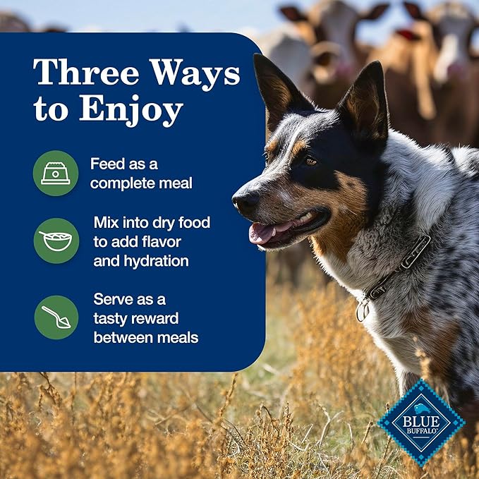 Blue Buffalo Homestyle Recipe Lamb Dinner with Garden Vegetables Wet Dog Food for Adult Dogs, Chicken Recipe, 12.5 oz. Cans, 3 Count