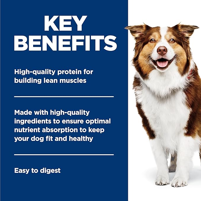 Hill's Science Diet Healthy Cuisine, Senior Adult 7+, Senior Premium Nutrition, Wet Dog Food, Roasted Chicken, Carrots & Spinach Stew, 12.5 oz Can, Case of 12