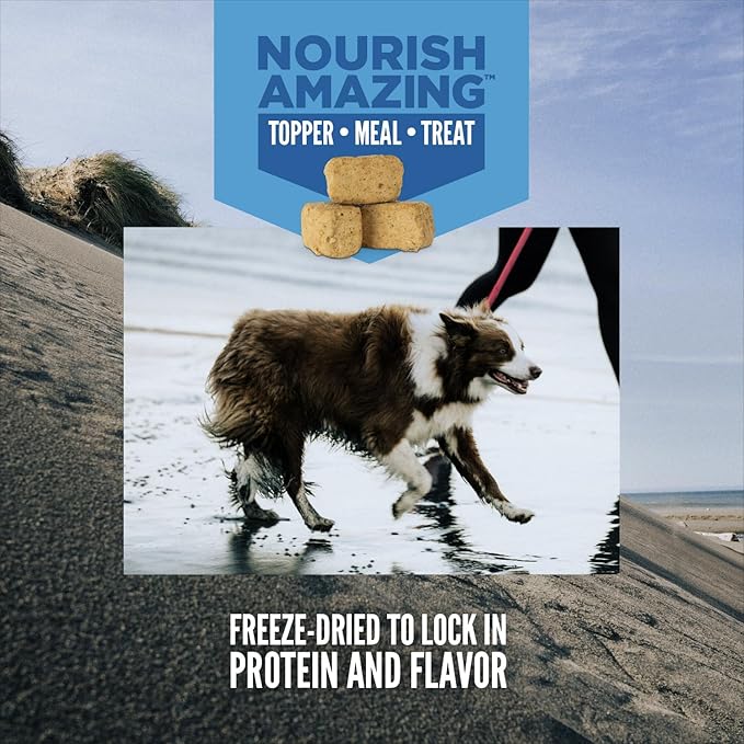 ORIJEN Epic Bites Freeze-Dried Dog Food & Treat Bundle – Original Recipe (6 oz Food + 1.5 oz Treats)