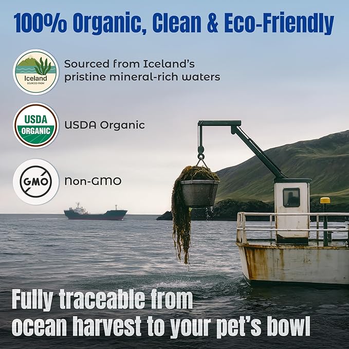 Life Line Organic Ocean Kelp Supplement for Dogs, Cats, Horses & Livestock | Natural Source of Iodine for Skin, Shiny Coat & Immune Support | Helps Reduce Tartar, Shedding & Aids Digestion – 1.5 lb