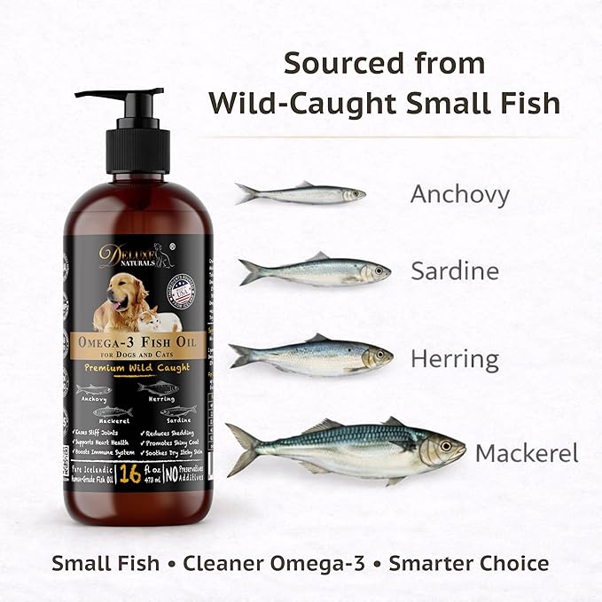Rich Omega-3 Fish Oil for Dogs & Cats | Natural EPA + DHA Fatty Acids for Shiny Coat, Reduce Itchy Skin, Support Joint Function, Immune & Heart Health, 16 FL OZ