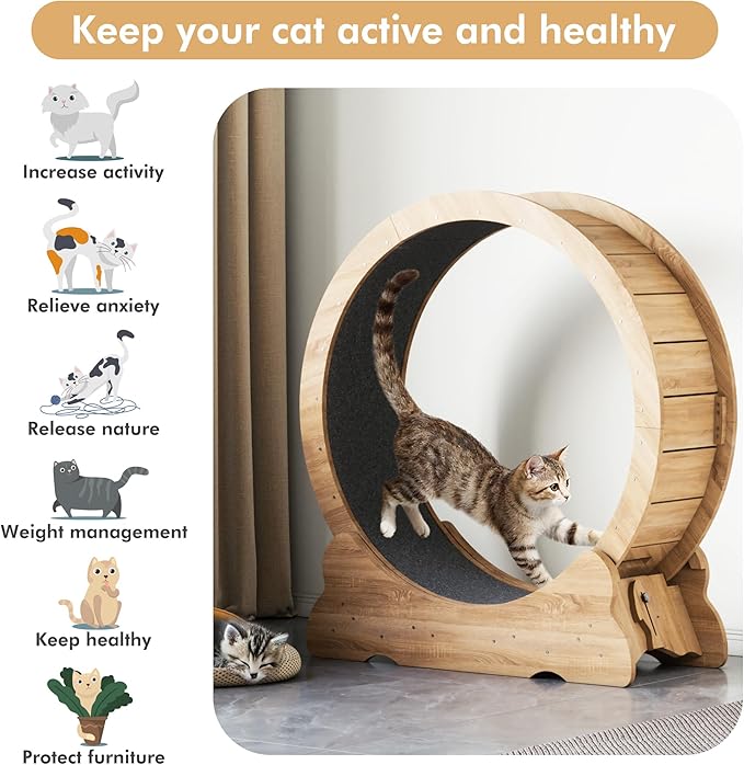 38'' Indoor Cat Exercise Wheel, Cat Running Wheel with Smooth and Quiet Roller, Detachable Carpet and Toy Teaser for Fun Fitness Training Treadmill,Natural Wood