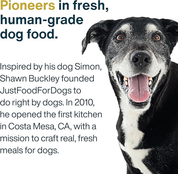JustFoodForDogs Frozen Fresh Dog Food, Complete Meal or Topper, Turkey & Whole Wheat Macaroni Human Grade Recipe, 18 oz (Pack of 7)