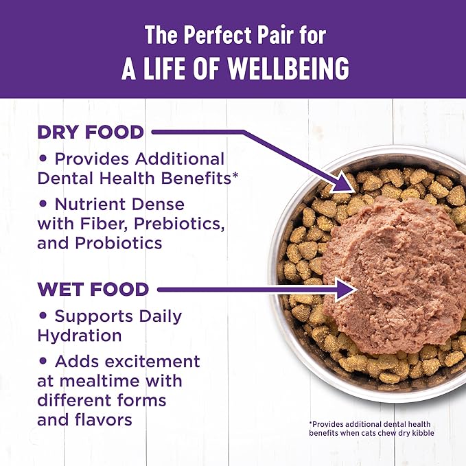 Wellness Complete Health Pate Adult Wet Cat Food, Natural, Protein-Rich, Grain Free, 12.5 Ounce, 12 Pack, (Chicken & Herring)
