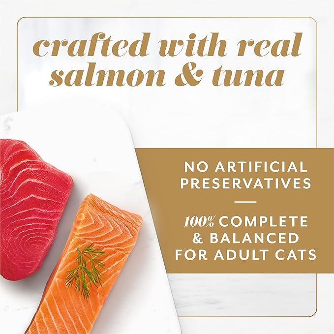 Fancy Feast Gems Pate Cat Food Mousse Salmon or Tuna and a Halo of Savory Gravy Wet Cat Food Variety Pack - (1) 8 ct. Boxes - 8 ct. Box