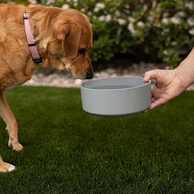 Loving Pets - Dolce Bamboo - Eco-Friendly Pet Bowls & Dishes for Dog, Cats, Puppy Food and Water Dish -Sustainable and Dishwasher Safe, Made with Real Bamboo (Medium, Slate-Grey)
