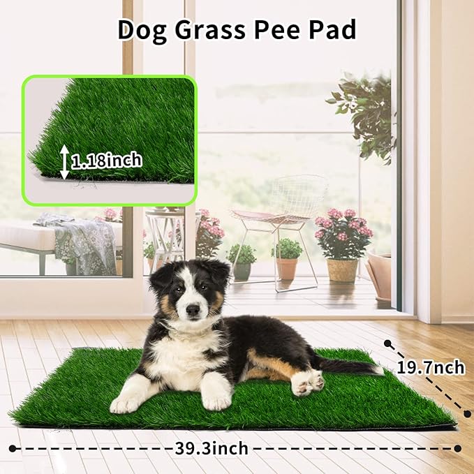 Grass Pad for Dogs 39.3 x 19.7 inches, Strong Absorbency Soft and Real Grass for Pets Potty Training, Easy to Clean Fake Grass for Dog Indoor Outdoor Use (1 Pack)
