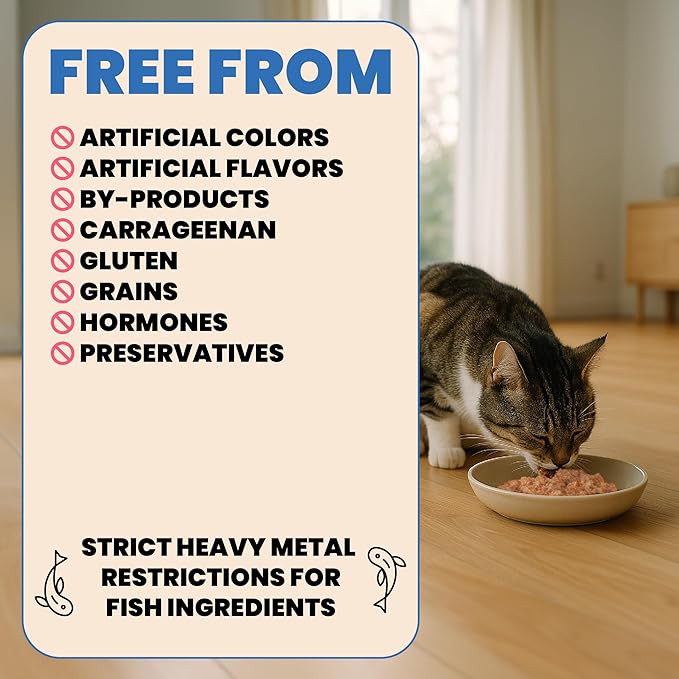 almo nature HQS Complete CAT Wet Cat Food Tuna Recipe with Mango in Gravy - Grain-Free Cat Food Canned, 2.47 oz (Pack of 12)