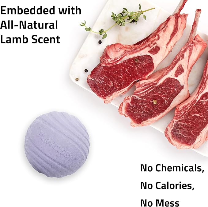 Playology Dog Toys | Dual Layer Ball Durable Chew Toy for Aggressive Chewers | Jumbo Lamb Scented Toy - Easy to Clean and Made from Non Toxic Materials