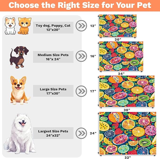 Watercolor Lemon Dog Food Mat for Floors Absorbent Dog Bowl Mat for Food and Water Dispenser Quick Dry Cat Food Placemat Pet Supplies 17" x 30", Colorful Fruit
