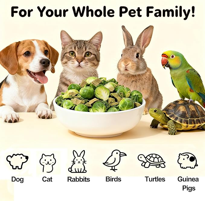 Natural Freeze-Dried Vegetable for Pets – Single Ingredient, Nutrient-Rich, Low-Calorie, Pure & Simple Digestive Crunchy Bites Snack for Dogs, Rabbits, Birds, Turtles & Guinea Pigs
