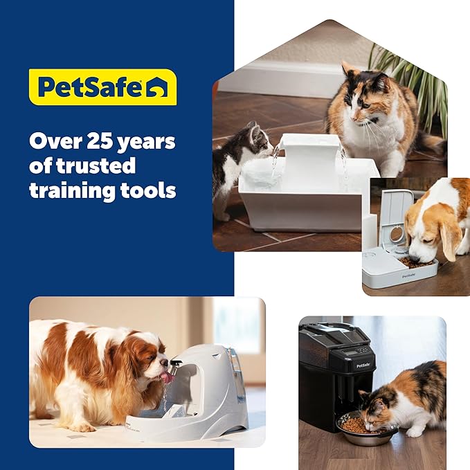 PetSafe Oasys 1 Gallon (128 Ounce) Medium Pet Fountain - Cat or Medium Breed Dog Water Fountain - Dishwasher Safe Filtered Water Dispenser with Flow Control - Filters Included - Easy to Clean