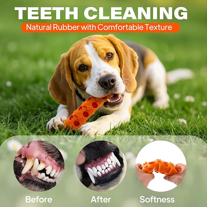 Fida 2-in-1 Puppy Teething Toys, Natural Rubber Chew Toys for Dogs to Keep Them Busy & Plush Toys with Crinkle Leaves, Interactive Dog Toys for Small Medium Breeds and Puppies.(Carrot)