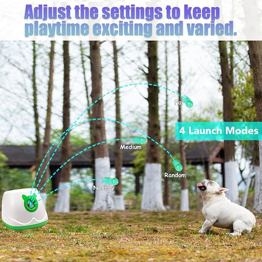 Automatic Ball Launcher for Dogs, Dog Fetch Ball Thrower Launcher, 4 Adjustable Distances, Interactive Pet Self Playing for Small Dogs and Puppies with 10 Balls (2 inches)