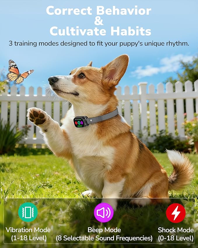 Dog Shock Collar with Remote Control, 3300FT Dog Training Collar with Beep/Vibration/Shock, Security Lock, IPX8 Waterproof Ecollar Rechargeable for Small Medium Large Dogs