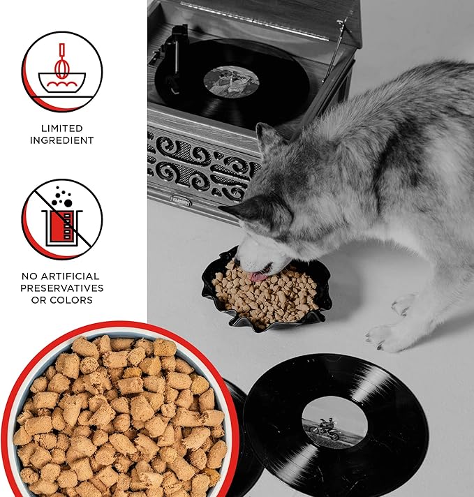 BIXBI Liberty Freeze-Dried Dog Food Topper & Treats,Beef – 98% Meat & Organs,No Refrigeration – USA Made,12 oz,(Pack of 2)