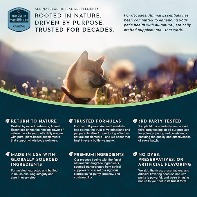 Animal Essentials Super Immune - Dog & Cat Immune Support for Puppies with Olive Leaf Extract & Echinacea, Olive Root for Dogs, Supports Respiratory Health & Overall Wellness - 1 Fl Oz