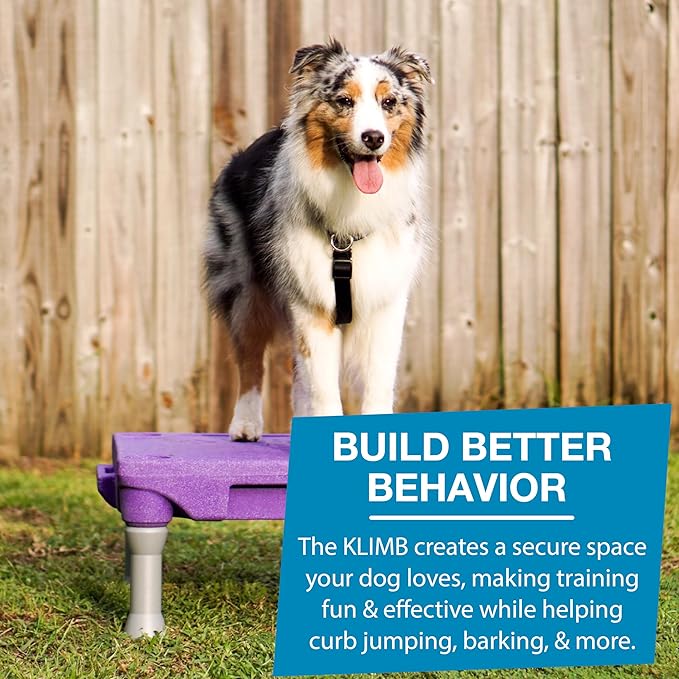 Blue-9 Happy Dog Starter Bundle with KLIMB Dog Training Platform & Traction Mat and Inspire Training Treat Pouch & Training Treats, Purple
