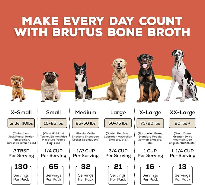 Brutus Broth Dog Food Topper - Bone Broth Powder with Probiotics for Dogs - Made with Natural Ingredients, Human-Grade Quality - Serve Dry or Wet - Pork Flavor - 3.5 oz Pack (Makes 130 oz with Water)
