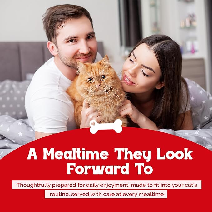 Beefeaters Chicken Chunk in Gravy Wet Cat Food 3oz (24-Pack) | Adult Wet Food with Taurine, Premium Catfood Wet Food, No Artificial Additives, Balanced Nutrition | Supports Immune System & Vision
