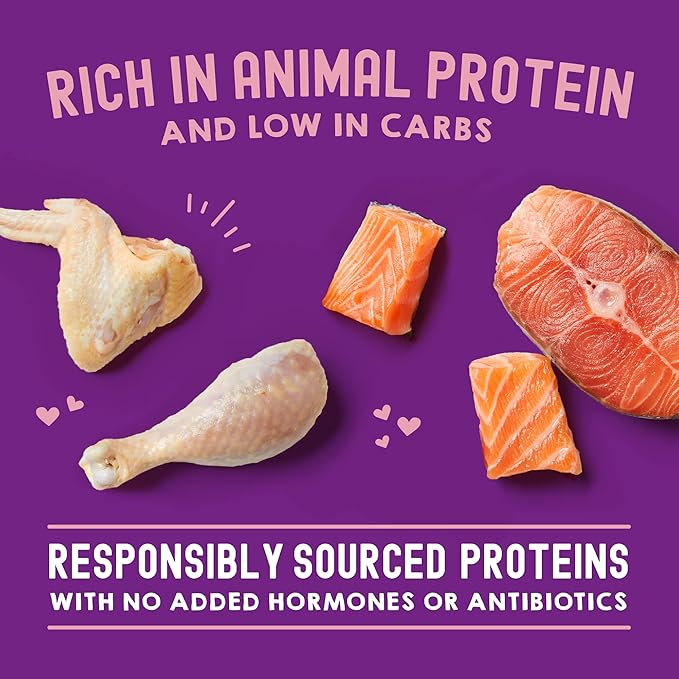 Stella & Chewy's Carnivore Cravings Wet Cat Food Pouches - Premium Chicken & Salmon Recipe - Grain-Free Morsels & Gravy - Perfect for Picky Eaters - Complete Meal or Topper - 2.8oz, 24-Pack