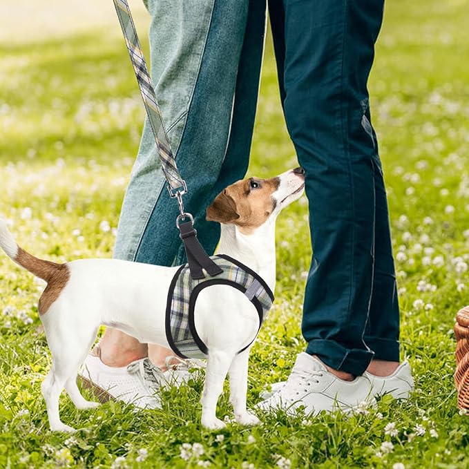 PUPTECK Adjustable Dog Harness Collar and Leash Set Step in No Pull Pet Harness for Small Medium Dogs Puppy and Cats Outdoor Walking Running, Soft Mesh Padded Reflective Vest Harnesses, Grn&YLW, L