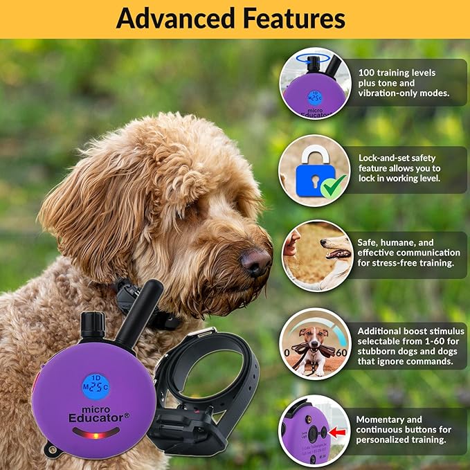 Educator E-Collar Humane Dog Training Collar with Remote, 100 Safe Tapping Stimulation Levels Night Light Waterproof Rechargeable 1/3 Mile, includes Premium Finger Clicker for Small/Medium Dog, Purple