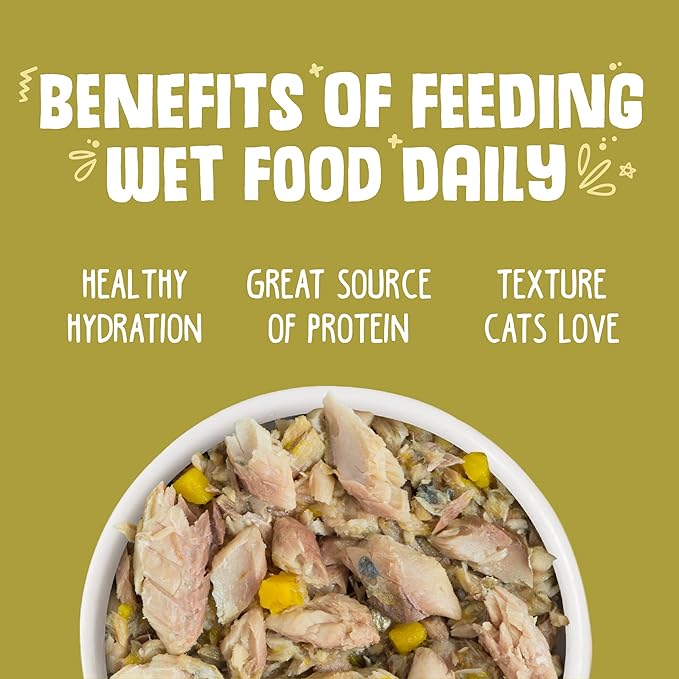 Weruva Classic Cat Food, Meow Luau with Mackerel & Pumpkin in Gravy, 5.5oz Can (Pack of 24)