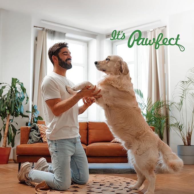 Pawfect Furfuel Dog Food Toppers Immune Support Allergy Relief Gut Health Skin and Coat Care Anti Inflammatory Dog Food Toppers with Bromelain Broccoli Quercetin Antioxidant Formula (150g/5.29oz)