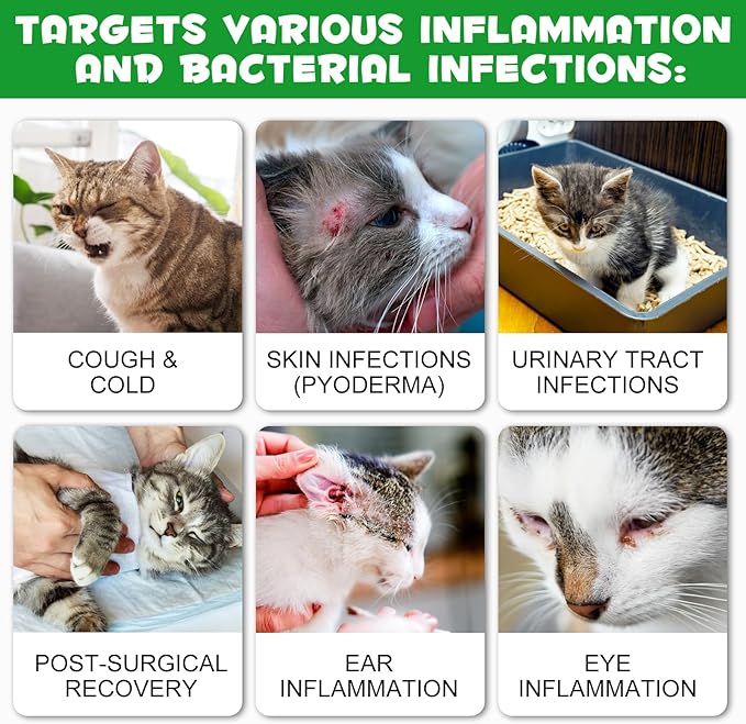 Antibiotics for Cats, Natural Antibiotic Drops Supports Immune & Allergy & Itch Relief, Vitamins Herbal Supplement, Pet Supplies Cats UTI Antibiotics, Chicken Flavor - 2 fl oz / 60ml