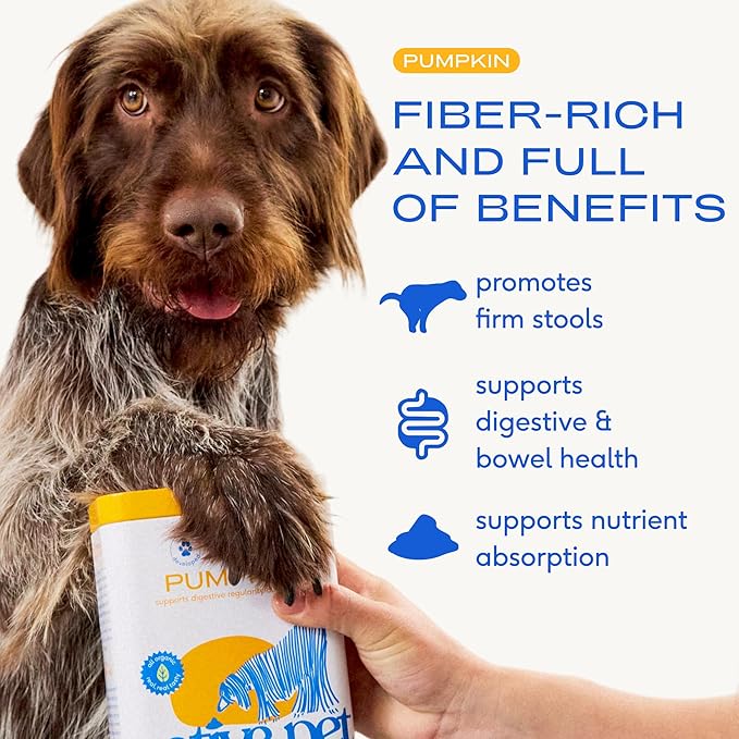 Native Pet Beef Bone Broth for Dogs (9.5 oz) & Organic Pumpkin for Dogs (16 oz.) - Food Topper for Picky Eaters and All-Natural, Organic Fiber Pumpkin Powder