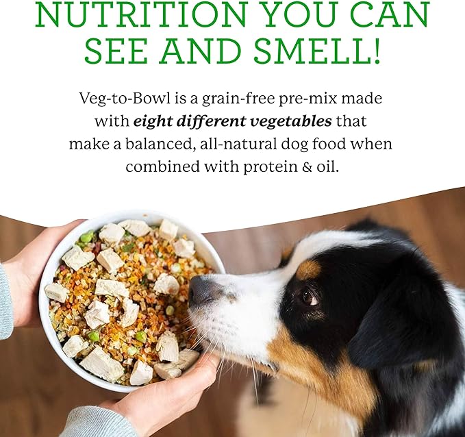 Dr. Harvey's Veg-to-Bowl Dog Food, Human Grade Dehydrated Base Mix for Dogs, Grain Free Holistic Mix (3 Pound)