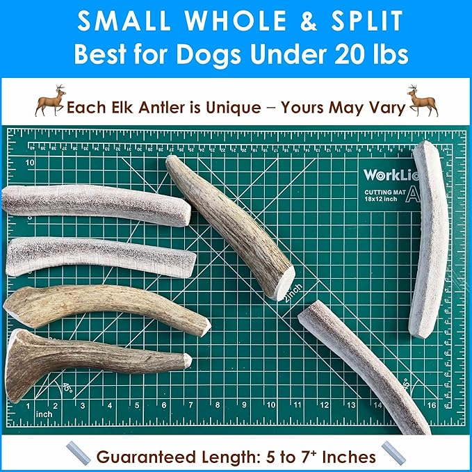 2 x 1-LB Small Mixed Whole & Split Elk Antler Dog Chews for Toy to Small Dogs Under 20 lbs (5-7+ Inch) | Long Lasting | Teeth Cleaning | No Rawhide