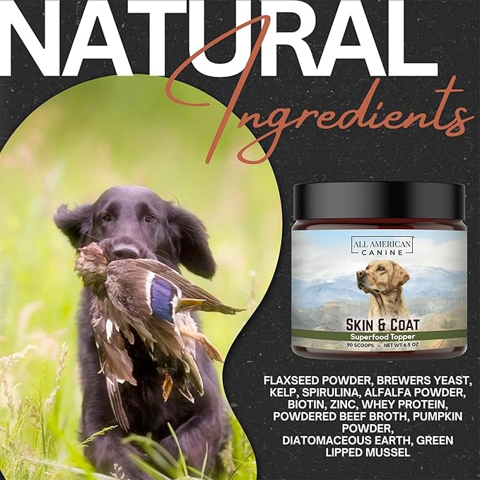 Complete Skin & Coat Natural Protein-Enriched Powdered Supplement Food Topper | 90 Servings