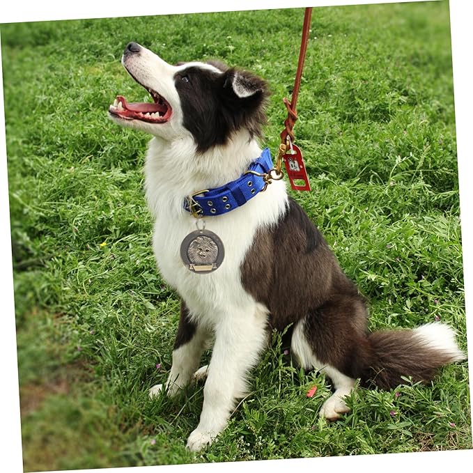 COLLBATH 3pcs Vintage Bronze Zinc Alloy Pet Id Tags for Pomeranian Dogs, Custom Engraved Collar Charms, Sturdy Dog Supply Accessories for Small Breeds