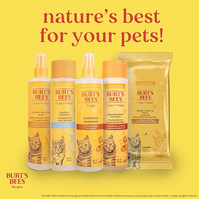 Burt’s Bees for Pets Hypoallergenic Cat Shampoo with Shea Butter and Honey, Gentle Kitten Shampoo for Indoor Cats with Dry or Sensitive Skin, Cat Bathing Supplies, 10 Fl Oz