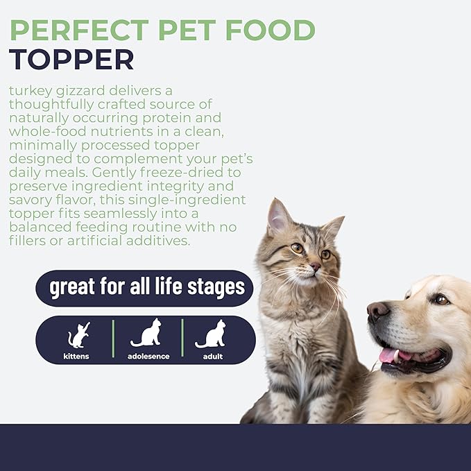 Momentum Carnivore Nutrition Freeze-Dried Turkey Gizzard Pet Food Topper – Single-Ingredient, All-Natural Topper – High-Protein for Dogs and Cats, Grain-Free and Made in The USA– (3.75 oz Bag)