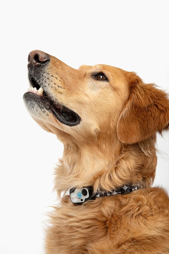 MS-5 Automatic Pet Door Collar, Genuine High Tech Pet Brand Dog Collar for Power Pet Doors - Designer Series, Waterproof, Battery Included (Modern, Dog)