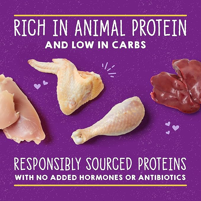 Stella & Chewy's Carnivore Cravings Savory Shreds - Wet Cat Food - High-Moisture Formula with Premium Cage-Free Chicken & Chicken Liver - Perfect for Picky Eaters - 2.8 oz, 12 Count
