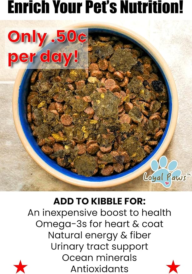 Wild Salmon Blend Raw Food Topper for Cats and Dogs, 6 oz, Natural Omega 3 Boost - 100% USA Made, Natural Dog Food Toppers