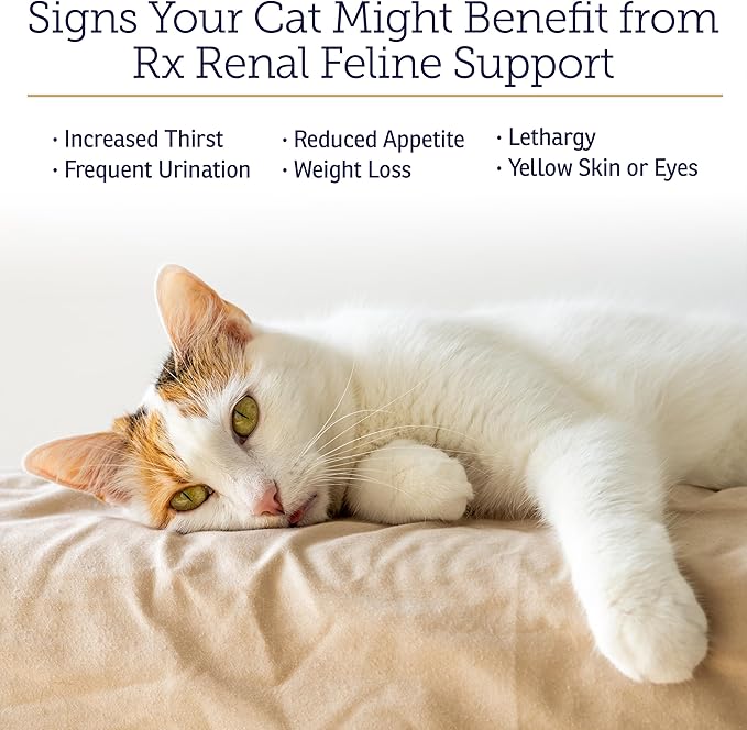 Rx Vitamins Renal Feline Beadlets - Cat Kidney Support with Astragalus Root and Milk Thistle for Cats - Supports Kidney and Immune Health in Cats - 3.52oz / 100g