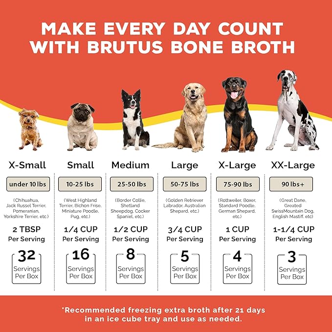 Brutus Bone Broth for Dogs | All Natural | Made in USA | Glucosamine & Chondroitin for Healthy Joints | Human Grade Ingredients | Hydrating Food Topper, Gravy & Treat (Pork, 2-Pack)