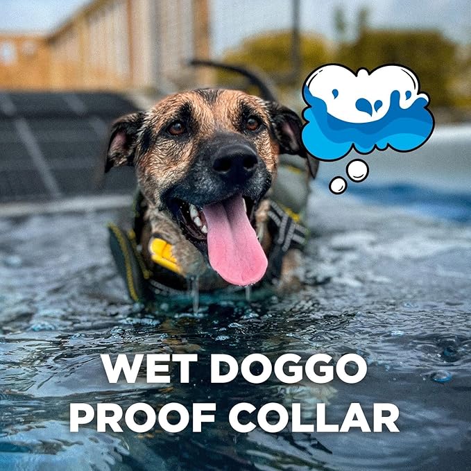 CUE Add On Black Ecollar with Safety Level Lock Boost Vibration Waterproof Rechargeable for Small Medium Large Dogs Dog Training Collar by Dogtra