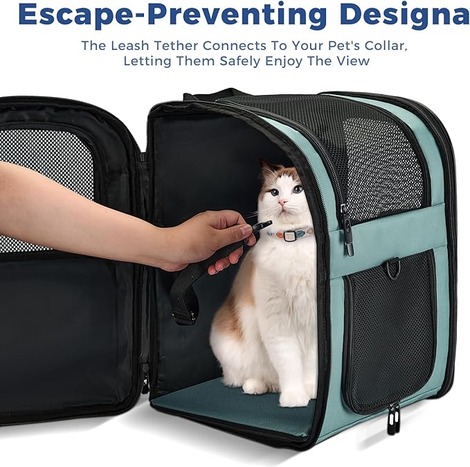 Apollo Walker Dog & Cat Carrier Backpack for 4-18lb Pets - Ventilated Safe Design with Padded Back Support, Breathable Mesh Pet Backpack for Hiking, Travel, Outdoor (Blue)