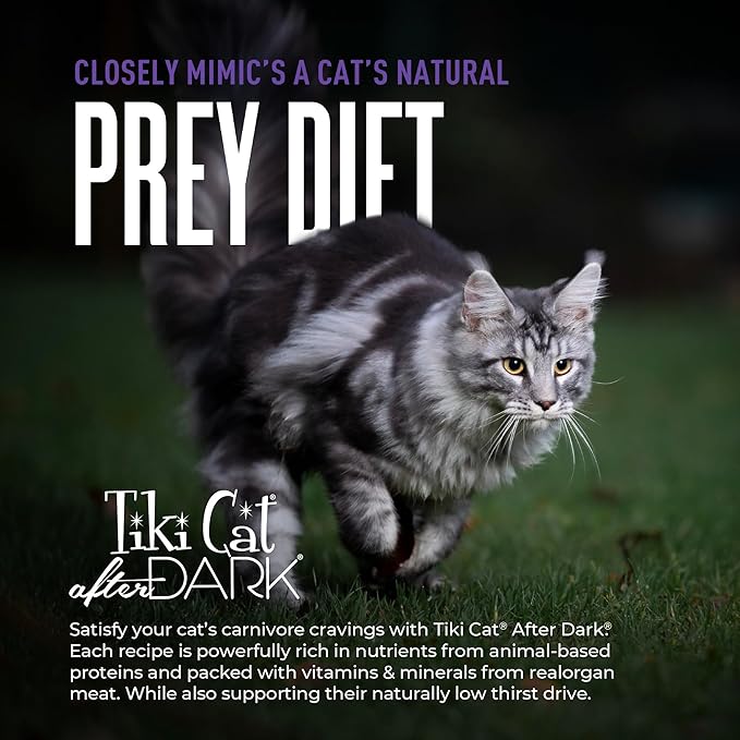 Tiki Cat After Dark Shreds Wet Cat Food, Variety Pack, 3 oz. Can (12 Count)